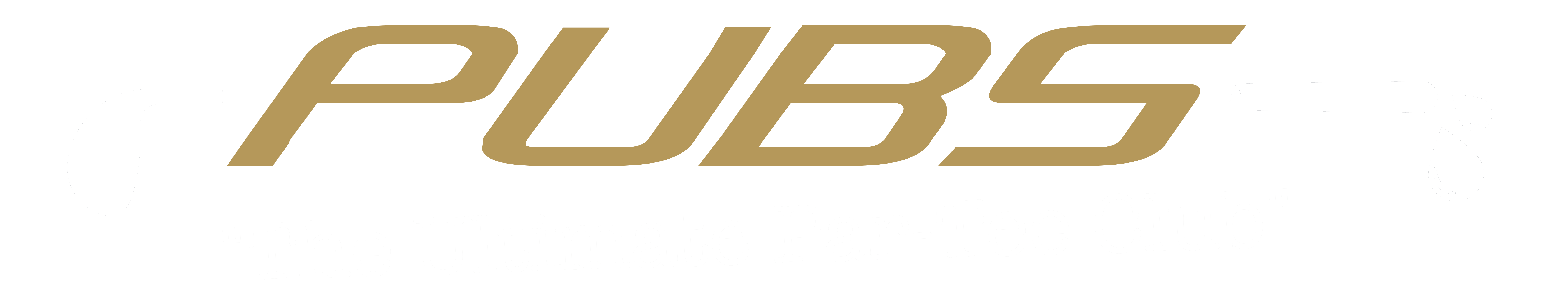 Golf Pubs - The Ultimate Par-Tee Club